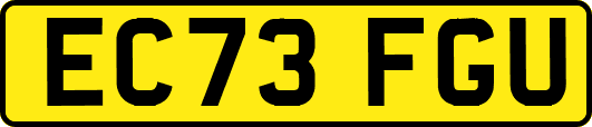 EC73FGU