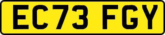 EC73FGY