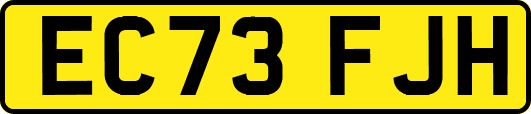 EC73FJH