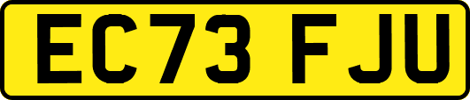 EC73FJU