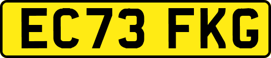 EC73FKG