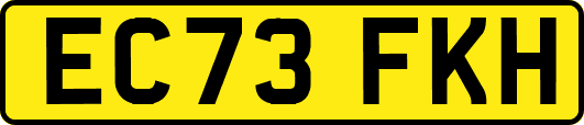 EC73FKH