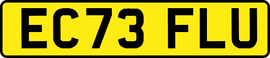 EC73FLU