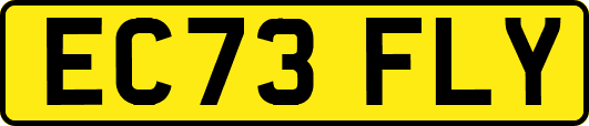EC73FLY