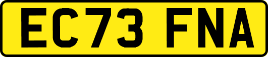 EC73FNA