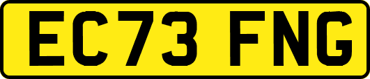 EC73FNG