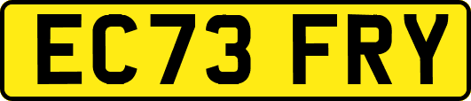 EC73FRY