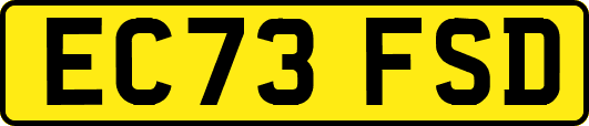 EC73FSD