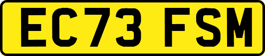 EC73FSM