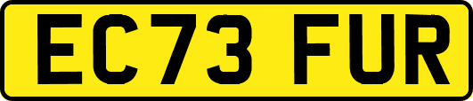 EC73FUR