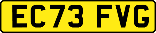 EC73FVG