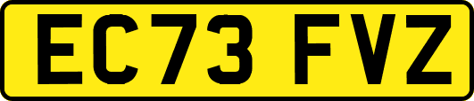 EC73FVZ