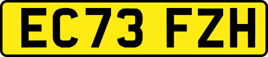 EC73FZH