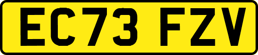 EC73FZV