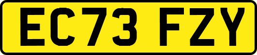 EC73FZY