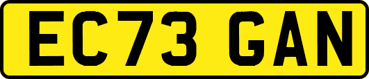 EC73GAN