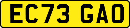 EC73GAO