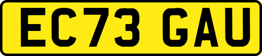 EC73GAU
