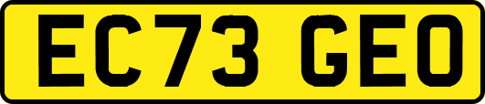EC73GEO