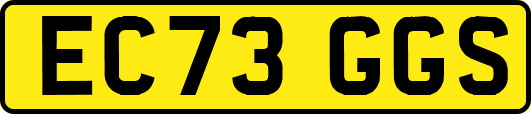 EC73GGS