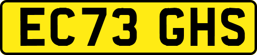 EC73GHS