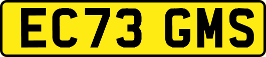 EC73GMS