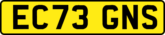 EC73GNS