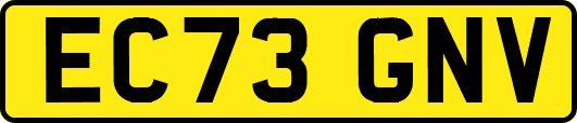 EC73GNV