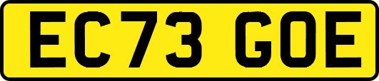 EC73GOE