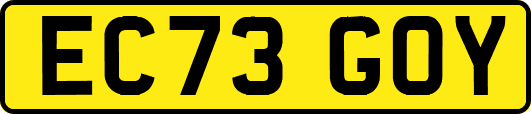 EC73GOY