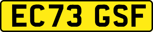 EC73GSF