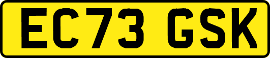 EC73GSK