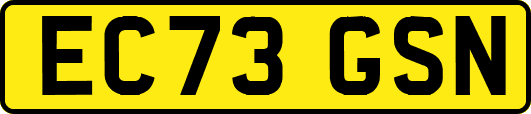 EC73GSN