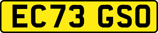 EC73GSO