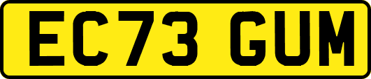 EC73GUM