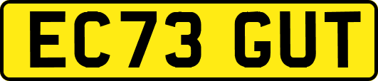 EC73GUT