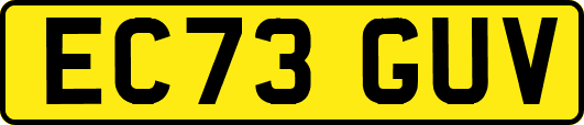 EC73GUV