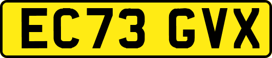 EC73GVX
