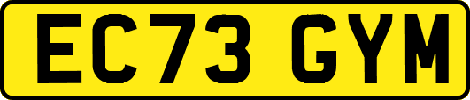 EC73GYM