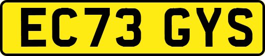 EC73GYS