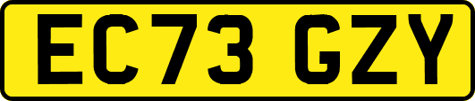 EC73GZY