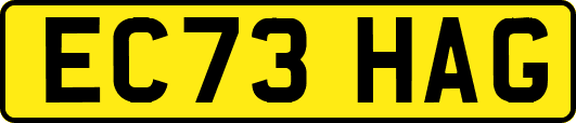 EC73HAG