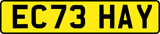 EC73HAY