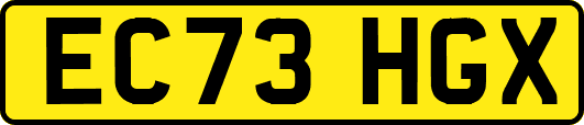 EC73HGX