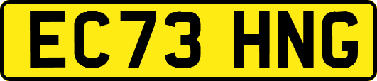 EC73HNG