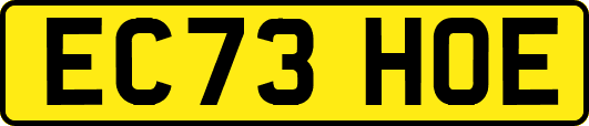 EC73HOE