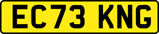 EC73KNG
