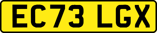 EC73LGX