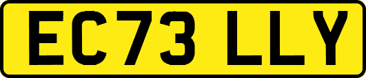EC73LLY