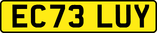 EC73LUY